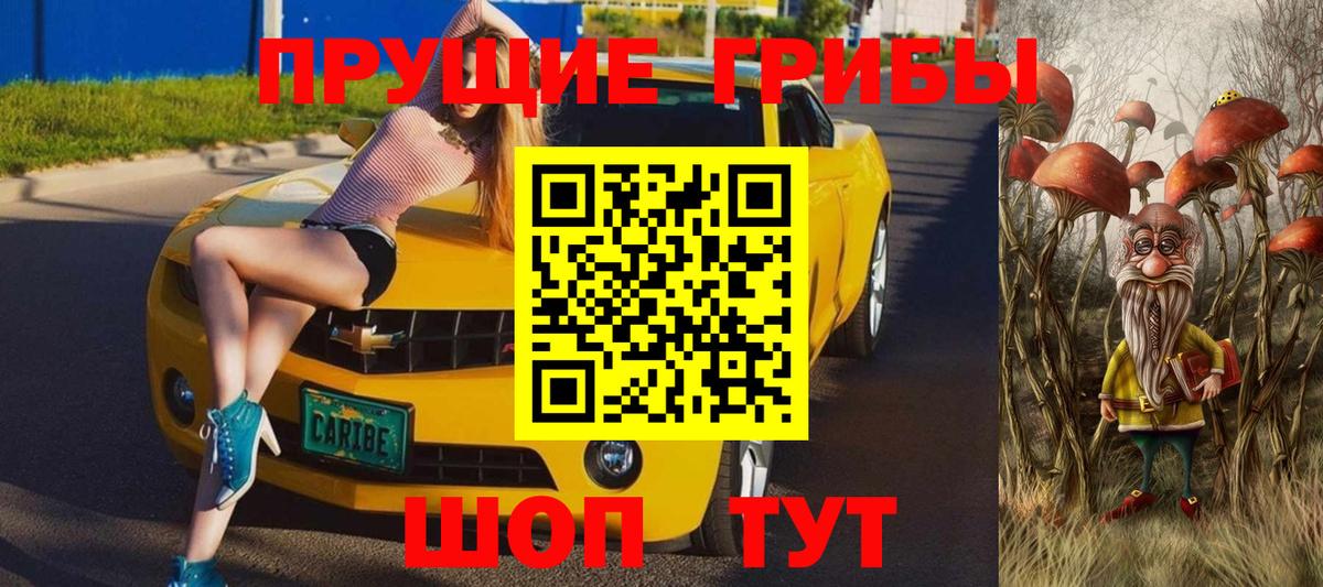 Псилоцибиновые грибы MAGIC MUSHROOMS  Вход с VPN  Богородск  купить наркоту  Псилоцибиновые грибы Cubensis 